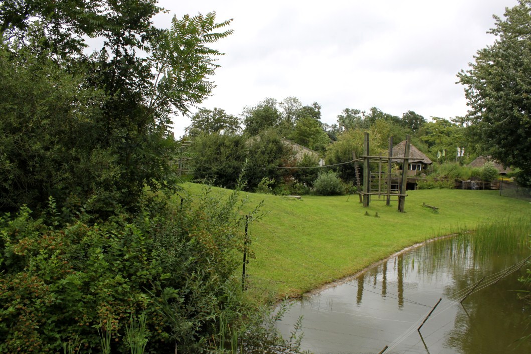 Planckendael - Africa (Bonobo Island)