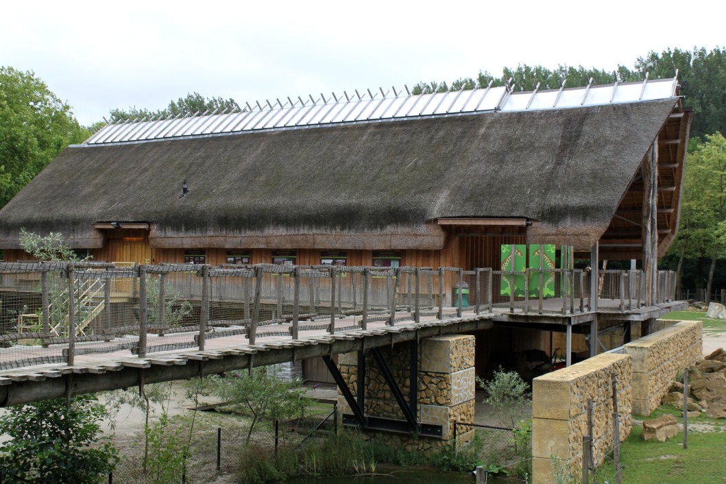 Planckendael - Africa (Giraffe House)