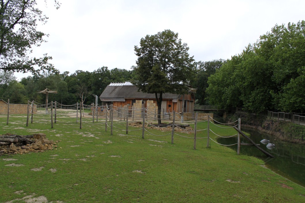 Planckendael - Africa (Giraffe savannah)