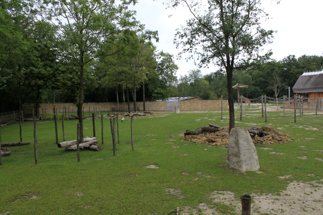 Planckendael - Africa (Giraffe savannah)