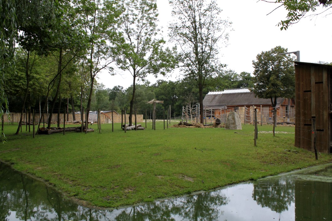 Planckendael - Africa (Giraffe savannah)