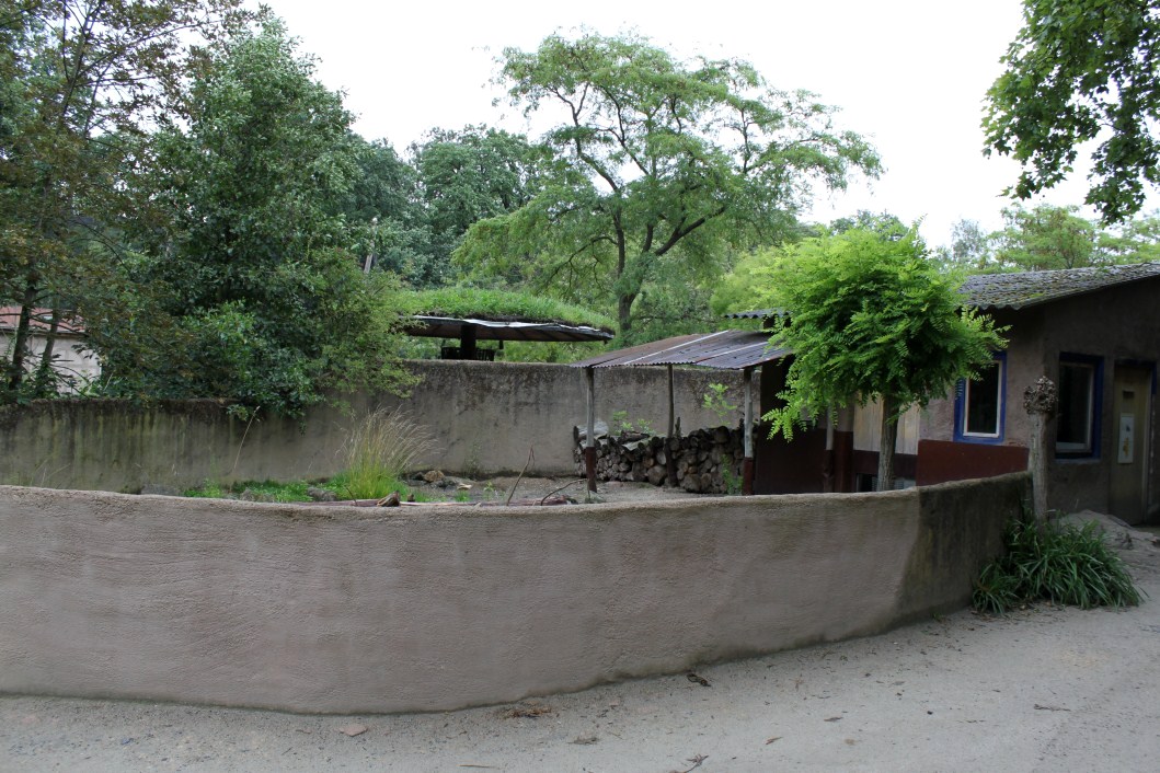 Planckendael - Africa (Porcupine)