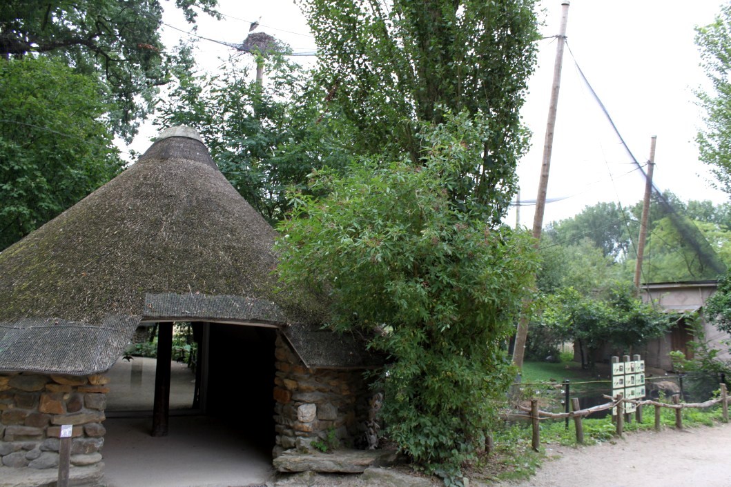 Planckendael - African Aviary