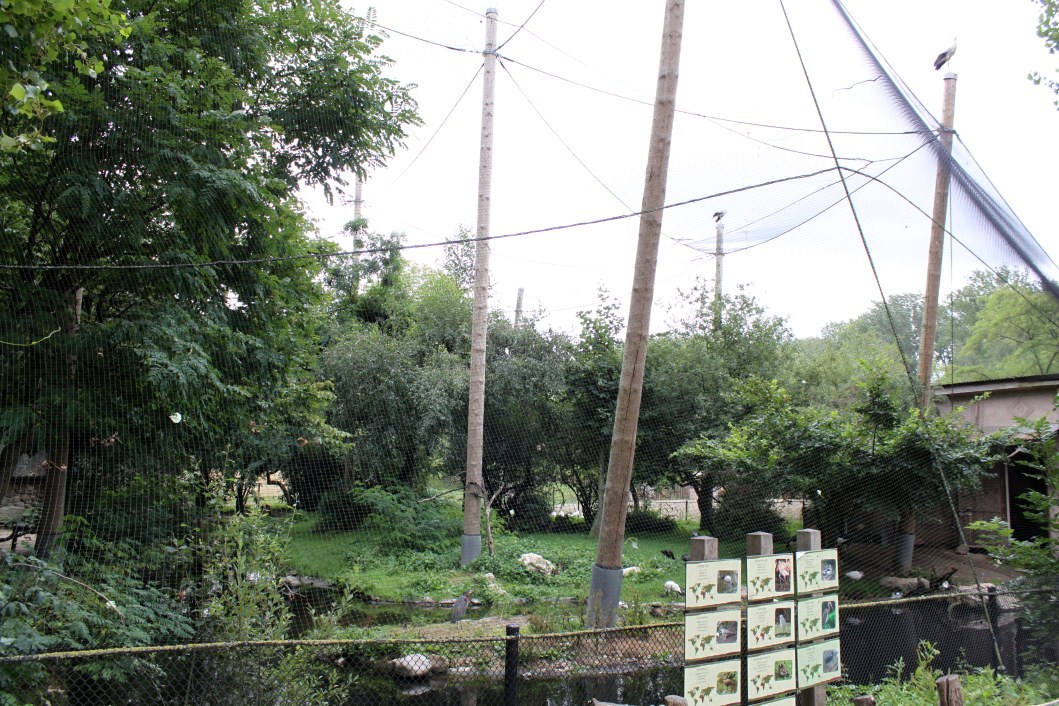 Planckendael - African Aviary