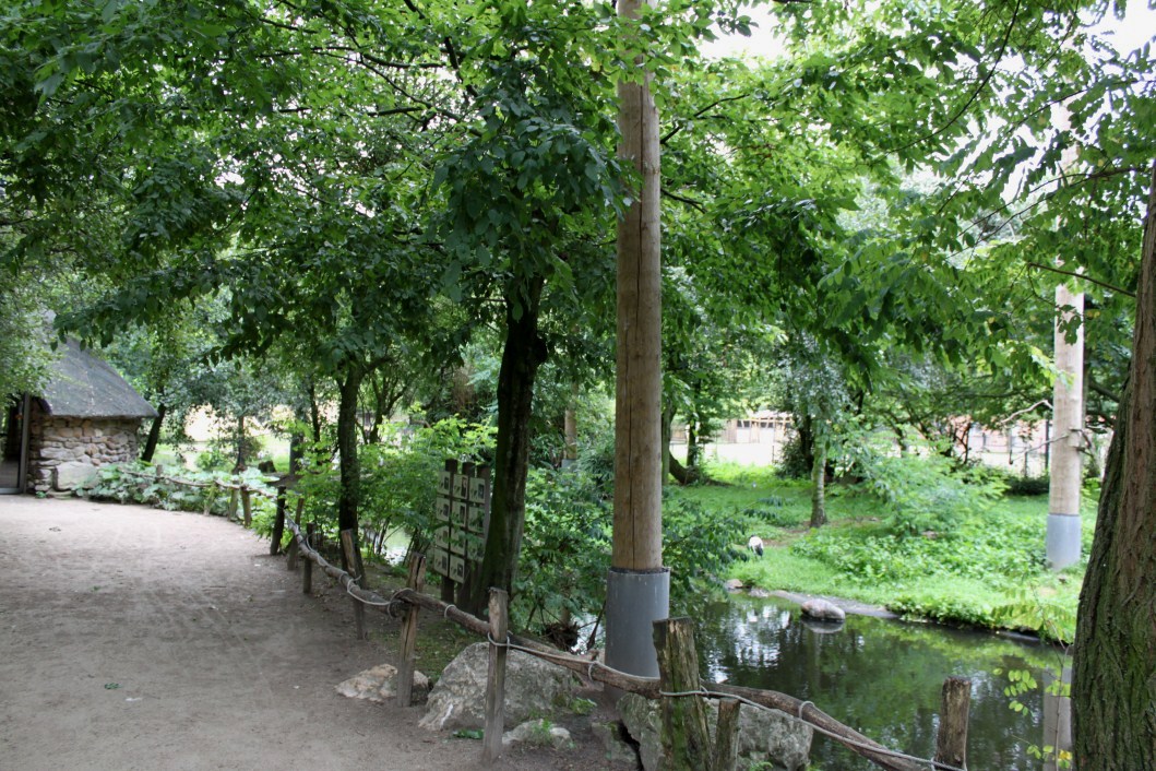 Planckendael - African Aviary