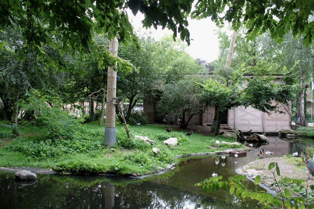 Planckendael - African Aviary