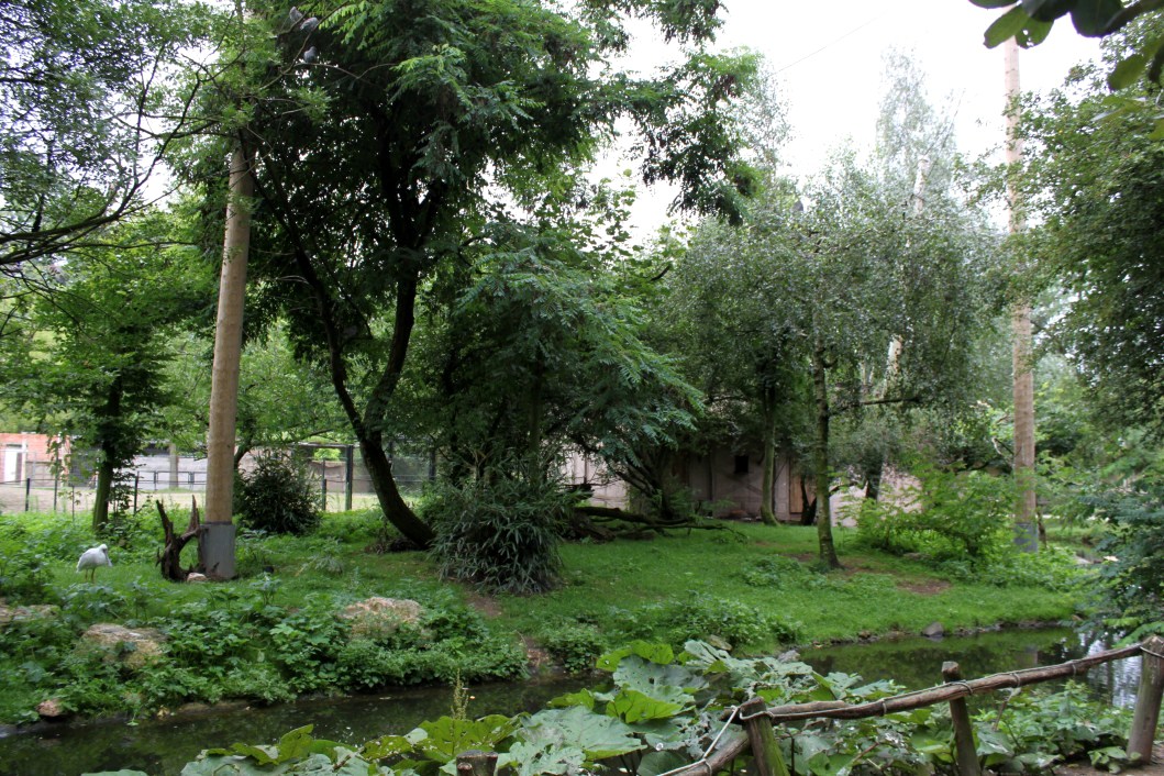 Planckendael - African Aviary