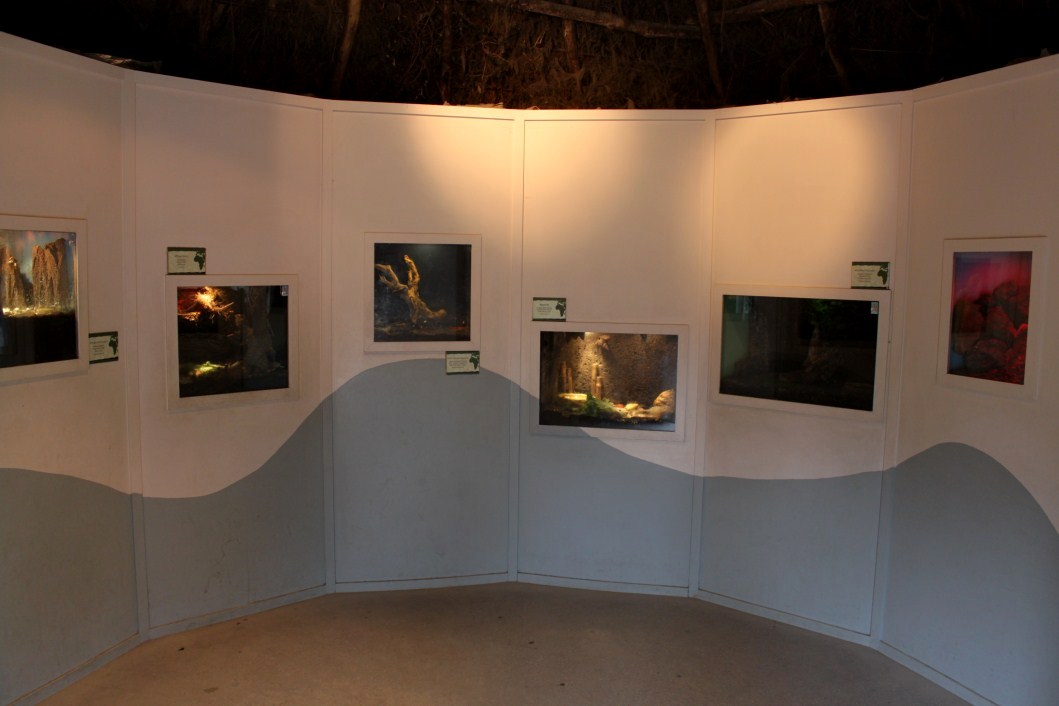 Planckendael - African Village (Terrarium)