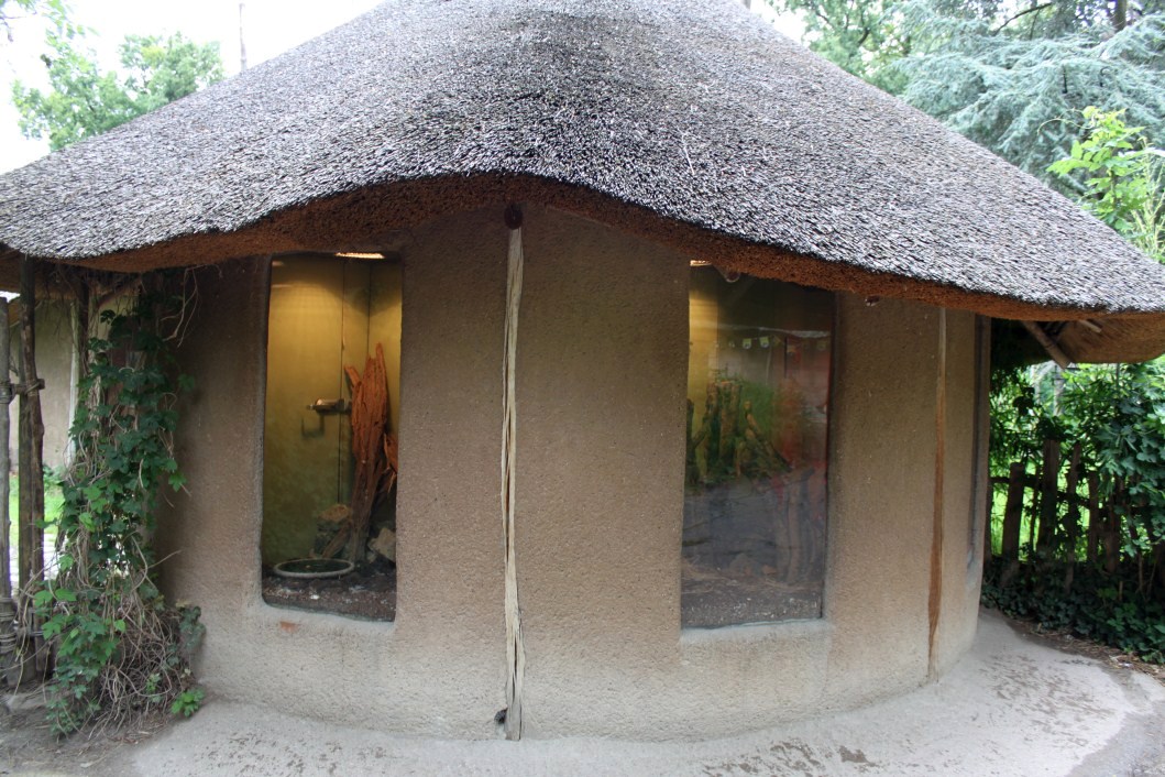 Planckendael - African Village (Terrarium)