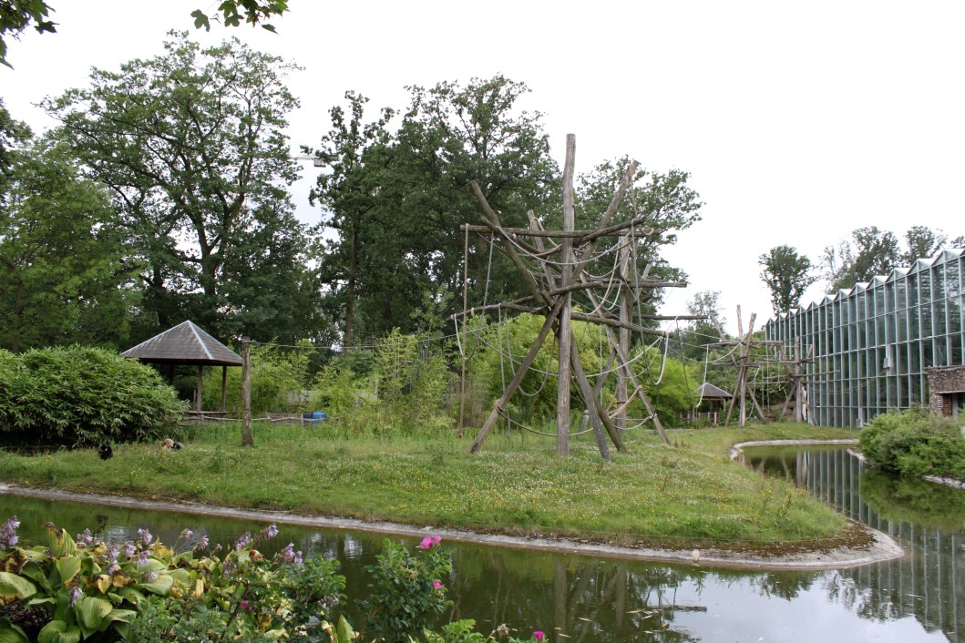 Planckendael - Asia (Gibbon Island)