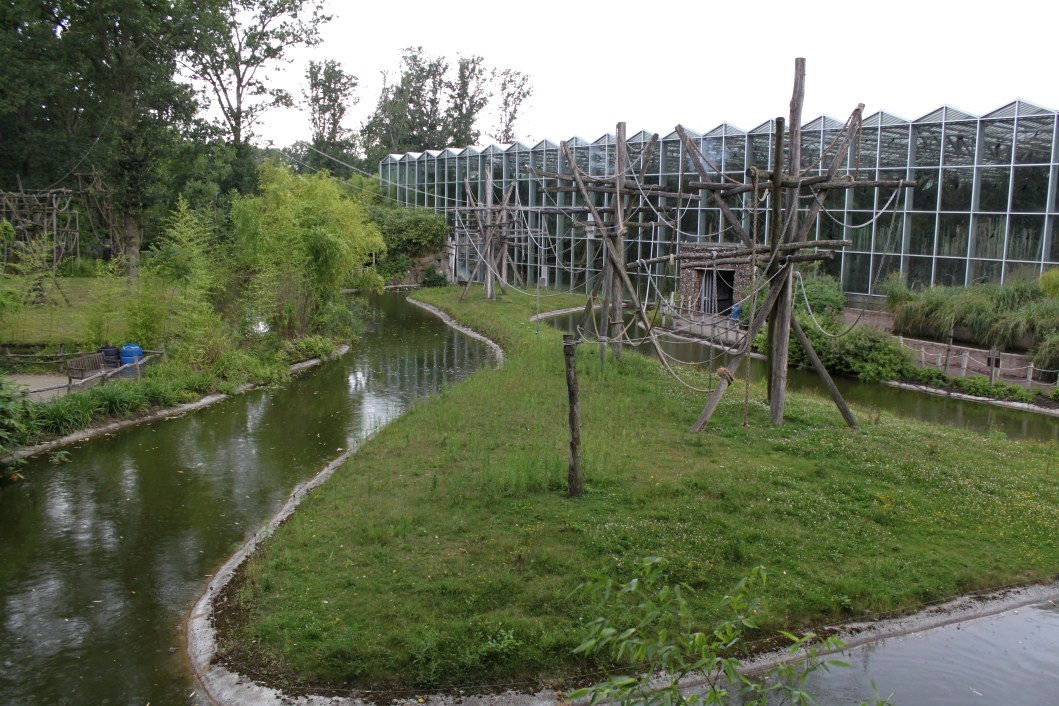 Planckendael - Asia (Gibbon Island)