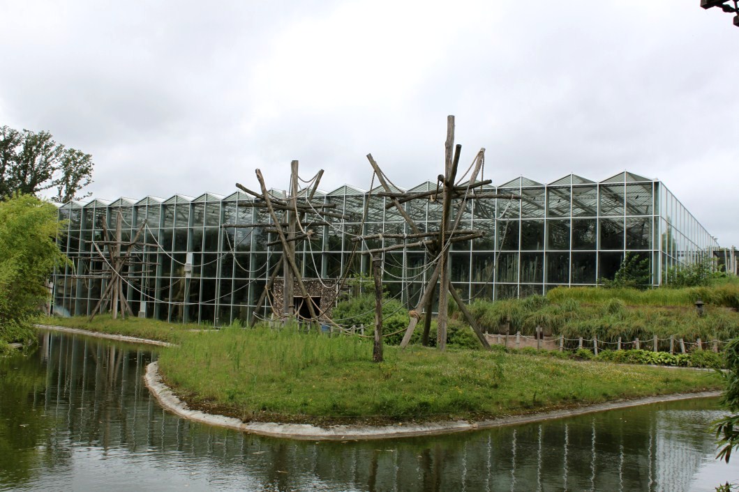 Planckendael - Asia (Gibbon Island)