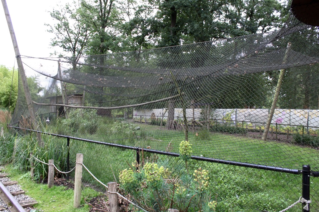 Planckendael - Asia (Gir Forest aviary)