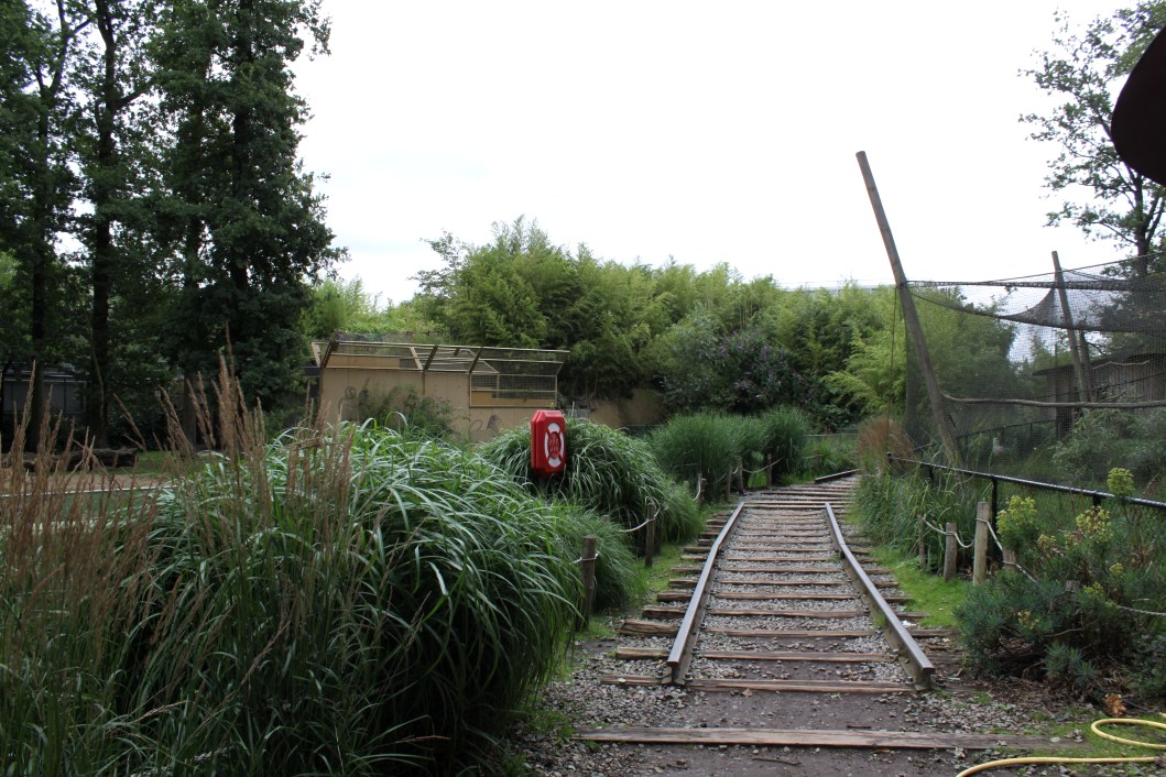 Planckendael - Asia (Gir Forest trail)