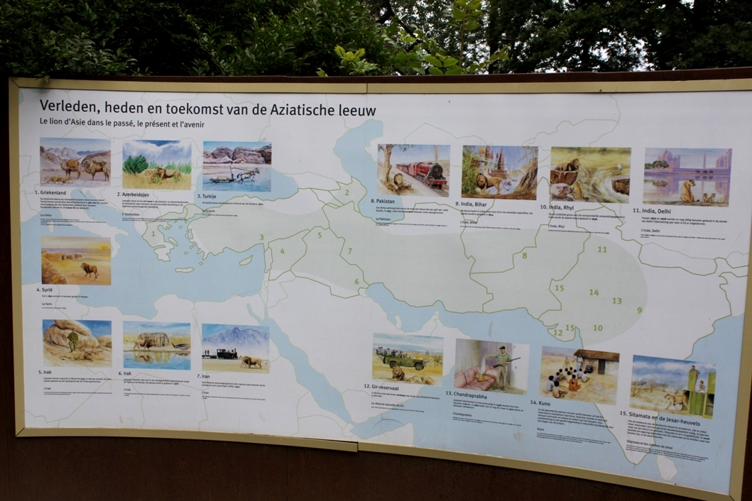 Planckendael - Asia (Lion signage)