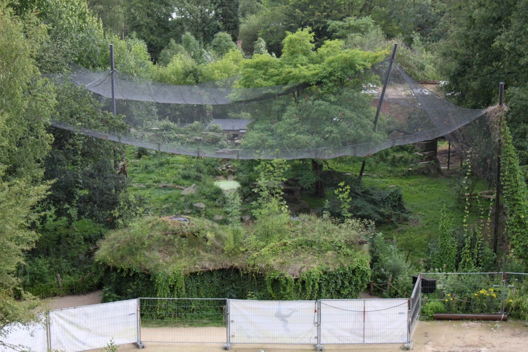 Planckendael - Asia (Snow leopard)