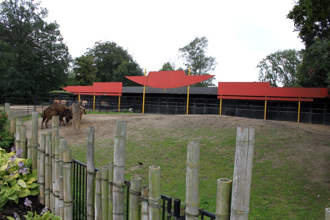 Planckendael - Asia (Wisent/wild horse enclosures)