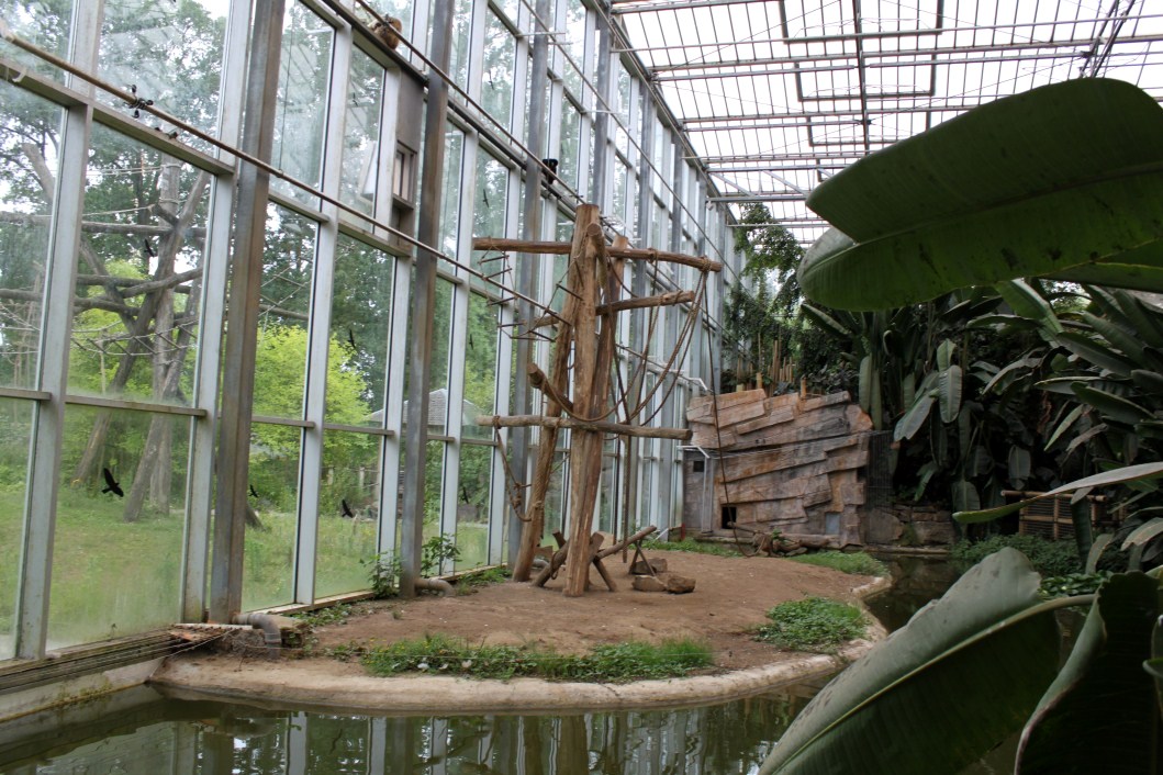 Planckendael - Asian Tropical House (Gibbon Island)