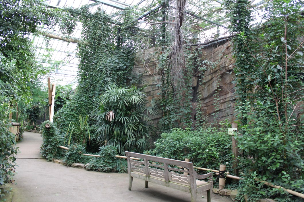 Planckendael - Asian Tropical House (Hornbill aviary)