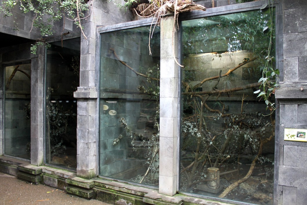 Planckendael - Asian Tropical House (Mammal exhibits)