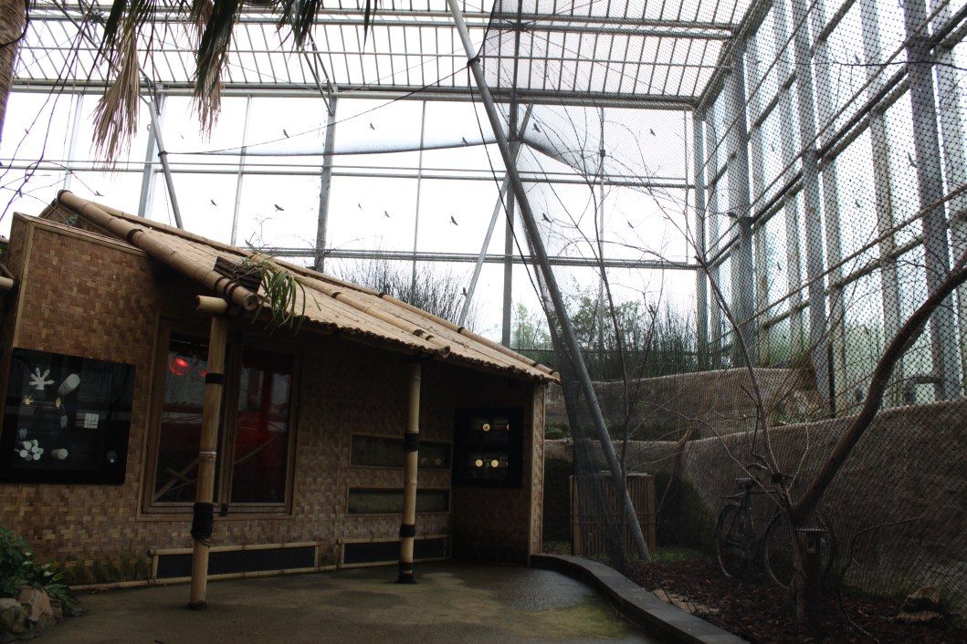 Planckendael - Asian Tropical House (Village)