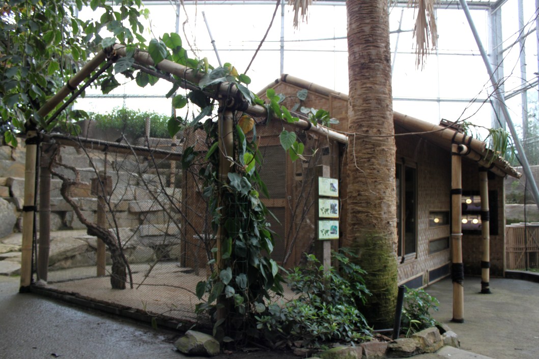 Planckendael - Asian Tropical House (Village)