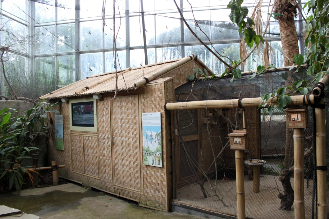 Planckendael - Asian Tropical House (Village)