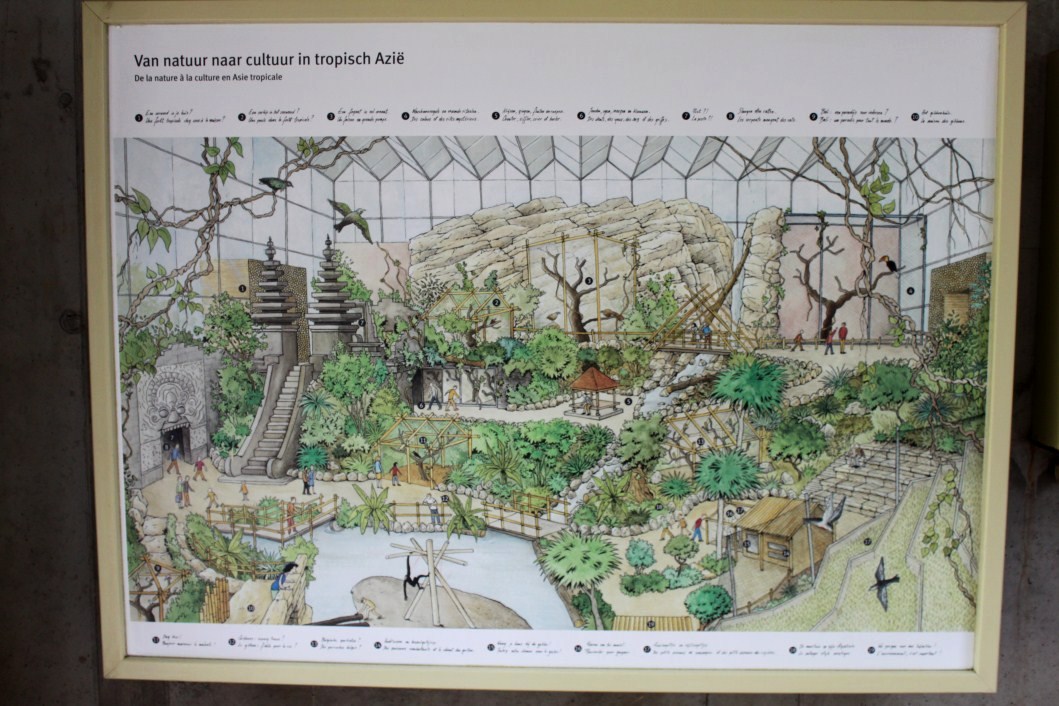 Planckendael - Asian Tropical House