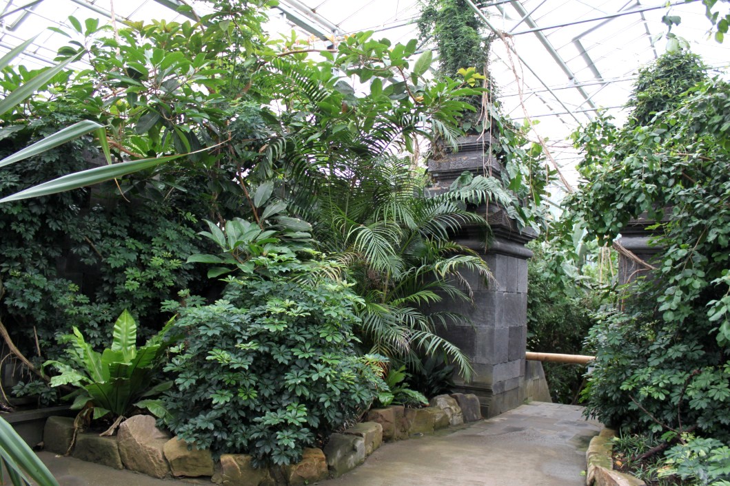 Planckendael - Asian Tropical House