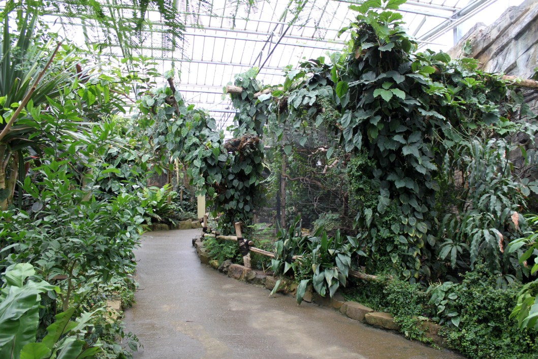 Planckendael - Asian Tropical House