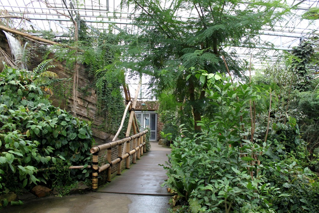 Planckendael - Asian Tropical House