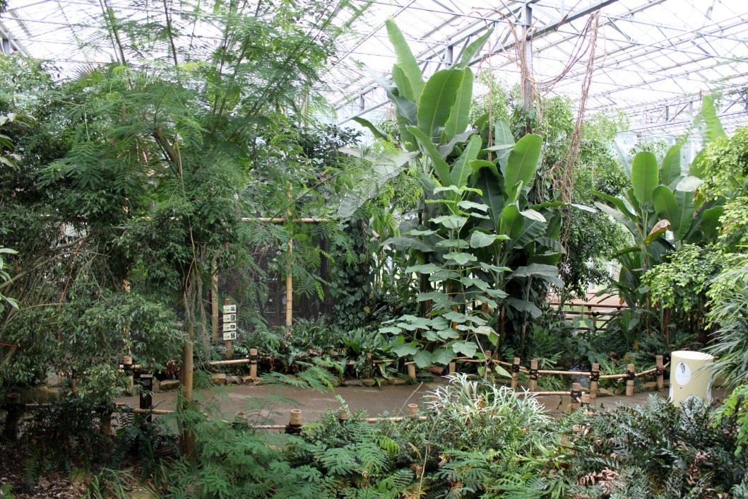 Planckendael - Asian Tropical House