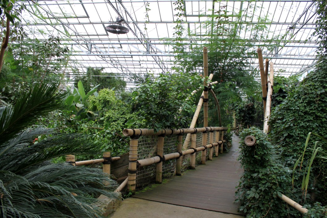 Planckendael - Asian Tropical House