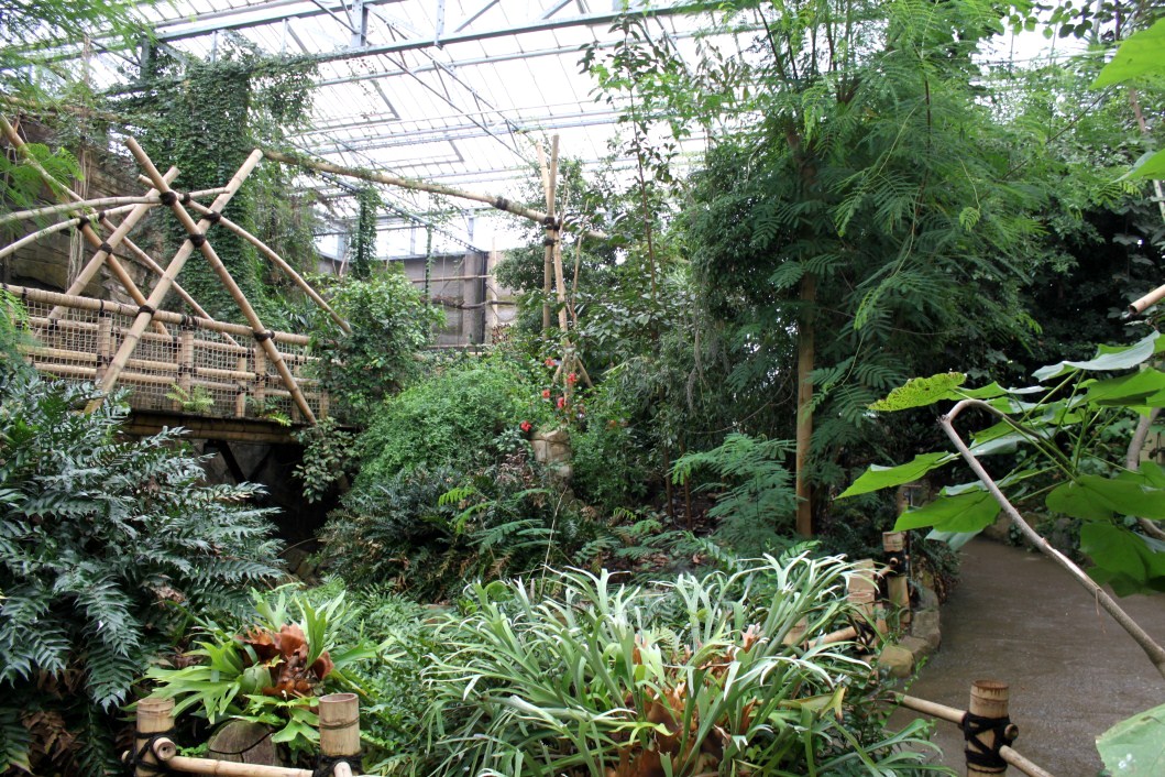 Planckendael - Asian Tropical House