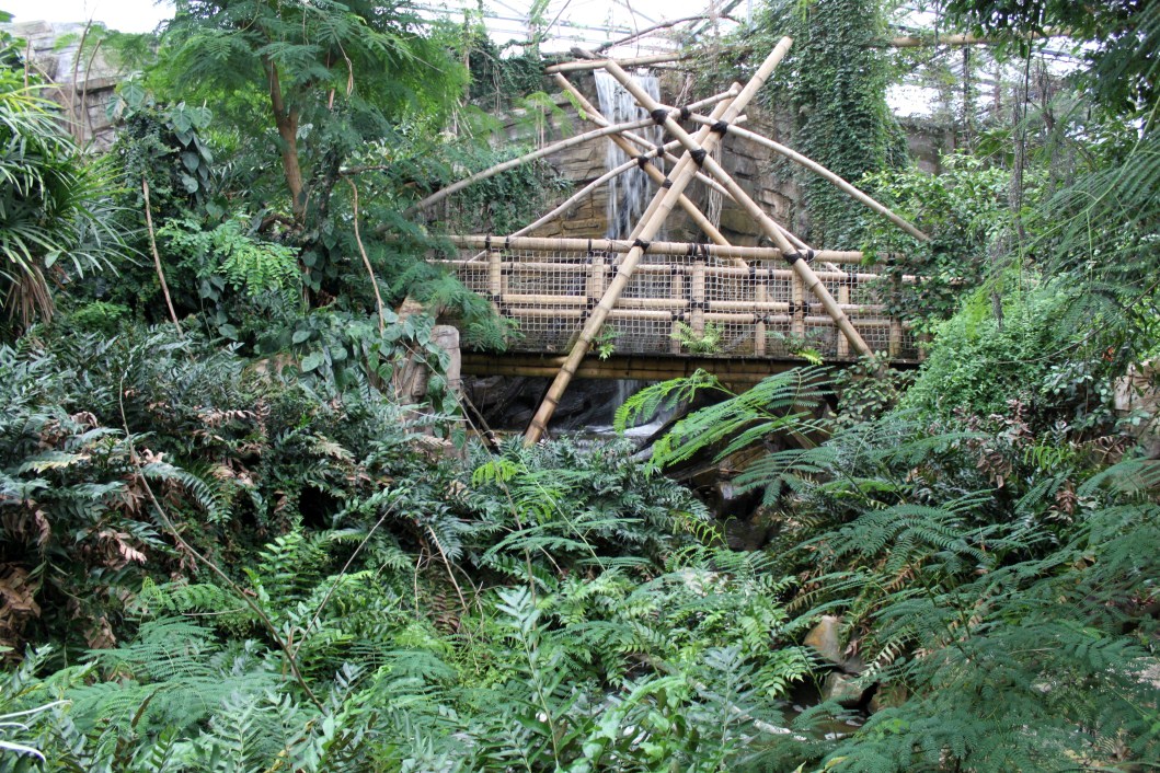 Planckendael - Asian Tropical House