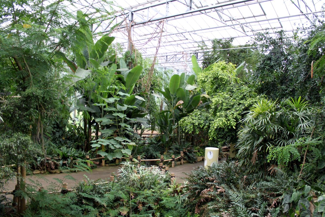 Planckendael - Asian Tropical House