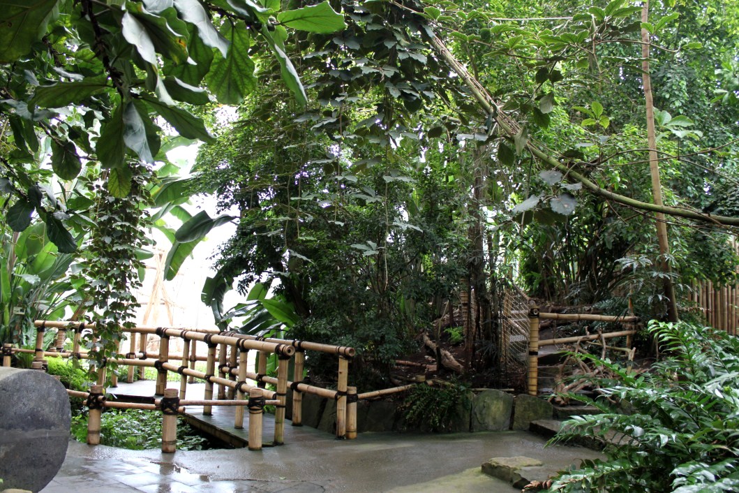 Planckendael - Asian Tropical House
