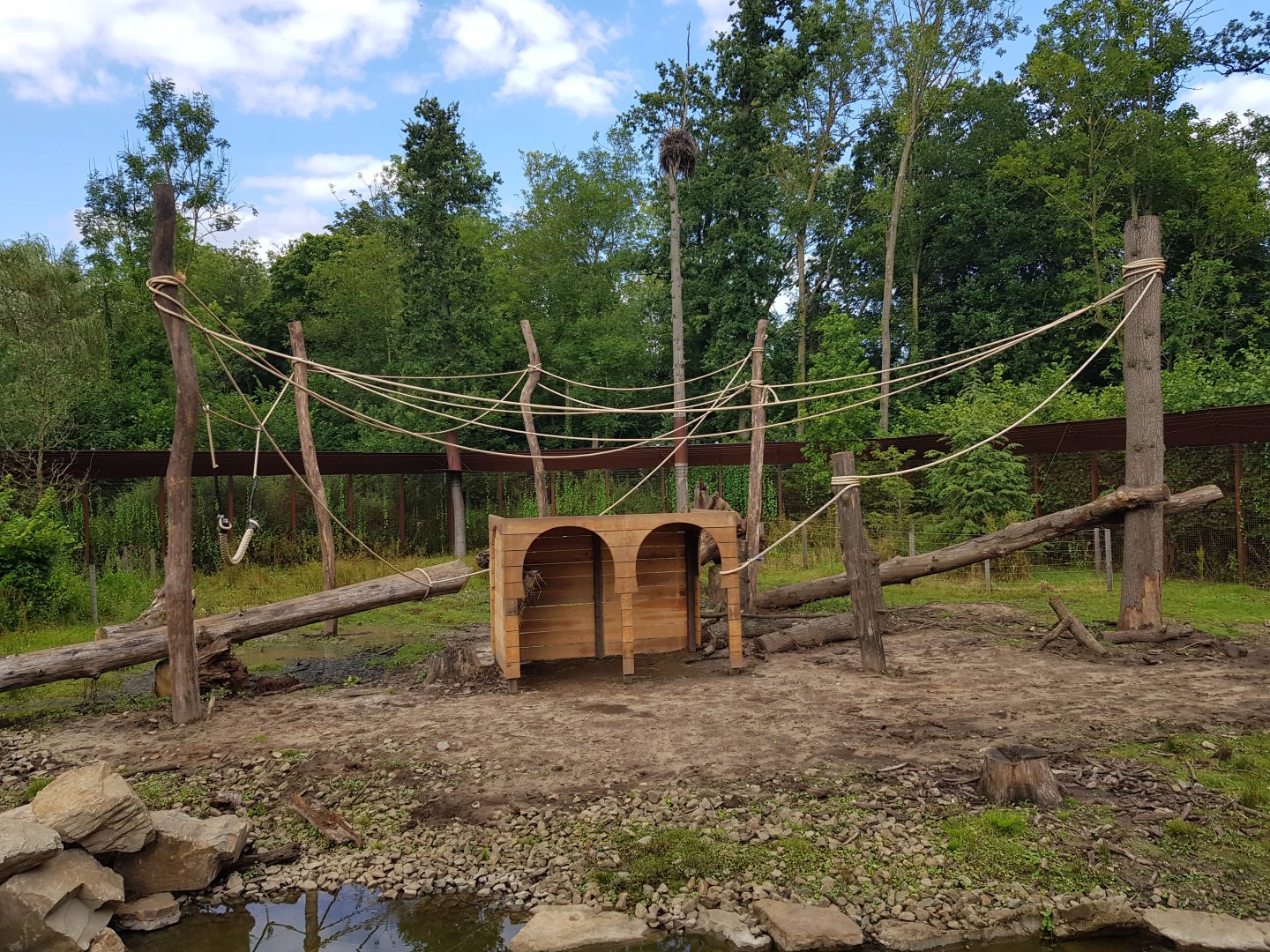 Planckendael Barbary macaque new climbing frame and shelter