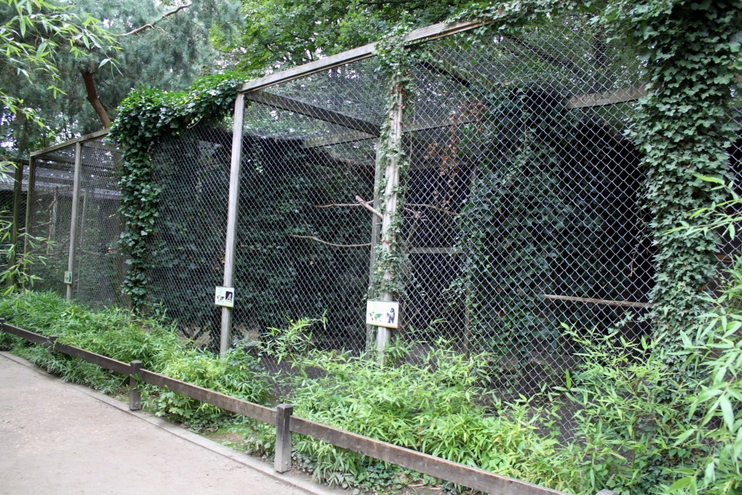 Planckendael - Birds of prey aviaries