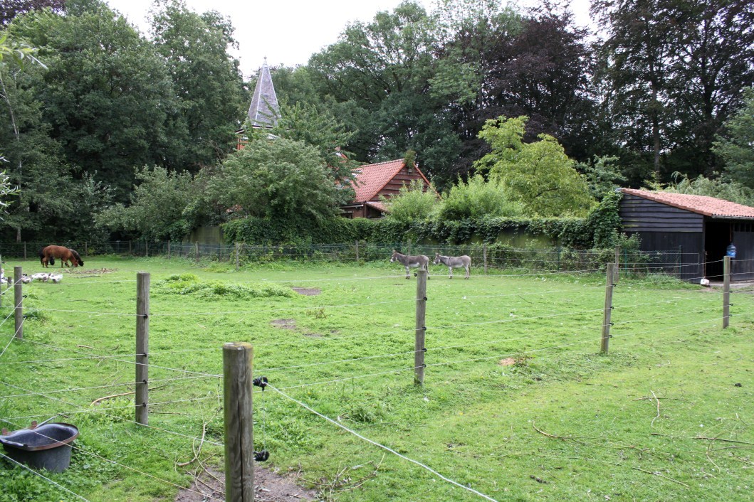 Planckendael - Children's Zoo paddocks