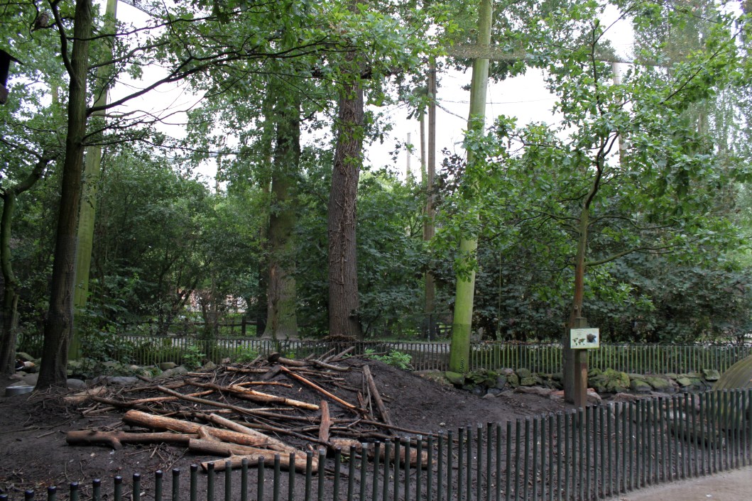 Planckendael - Europe (Aviary/Beaver)