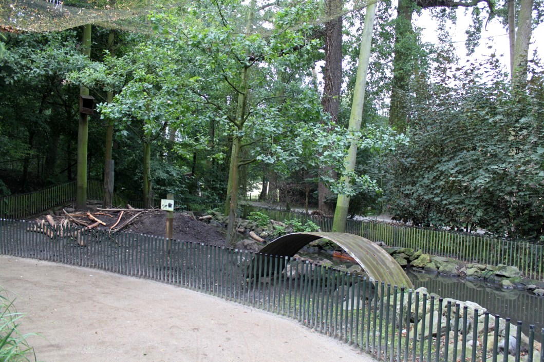 Planckendael - Europe (Aviary/Beaver)