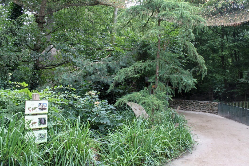Planckendael - Europe (Aviary)