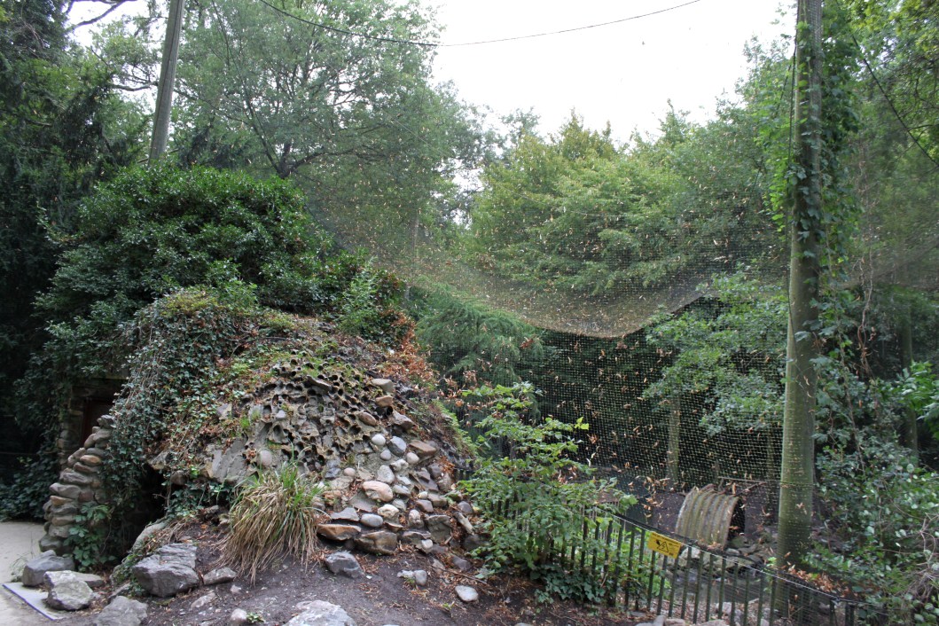 Planckendael - Europe (Aviary)