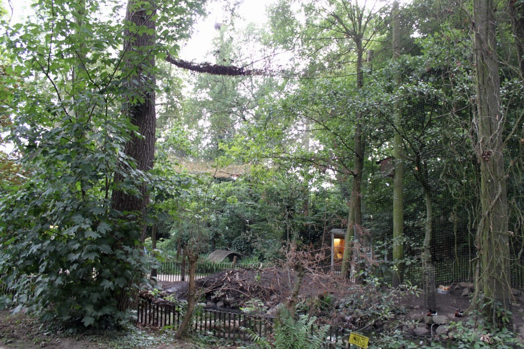 Planckendael - Europe (Aviary)