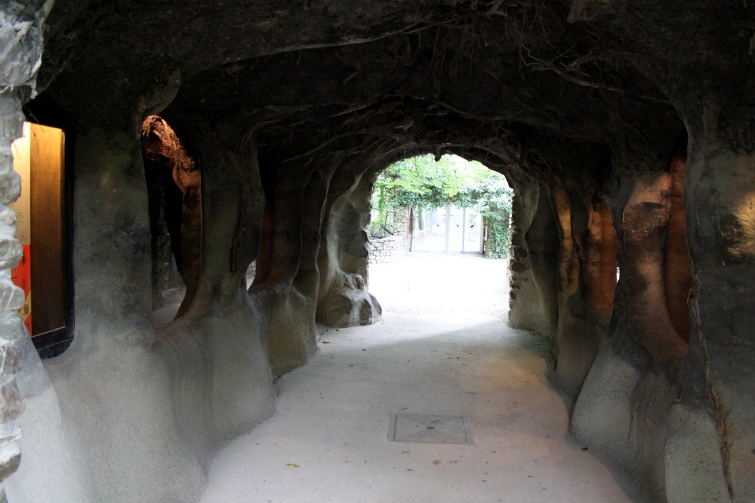 Planckendael - Europe (Badger/Raccoon)