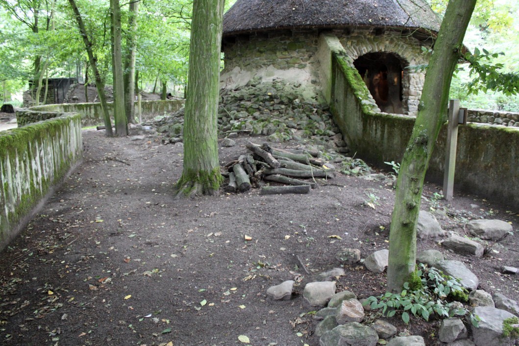 Planckendael - Europe (Badger)