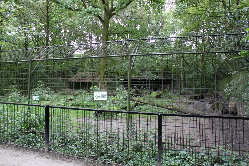 Planckendael - Hyena exhibit