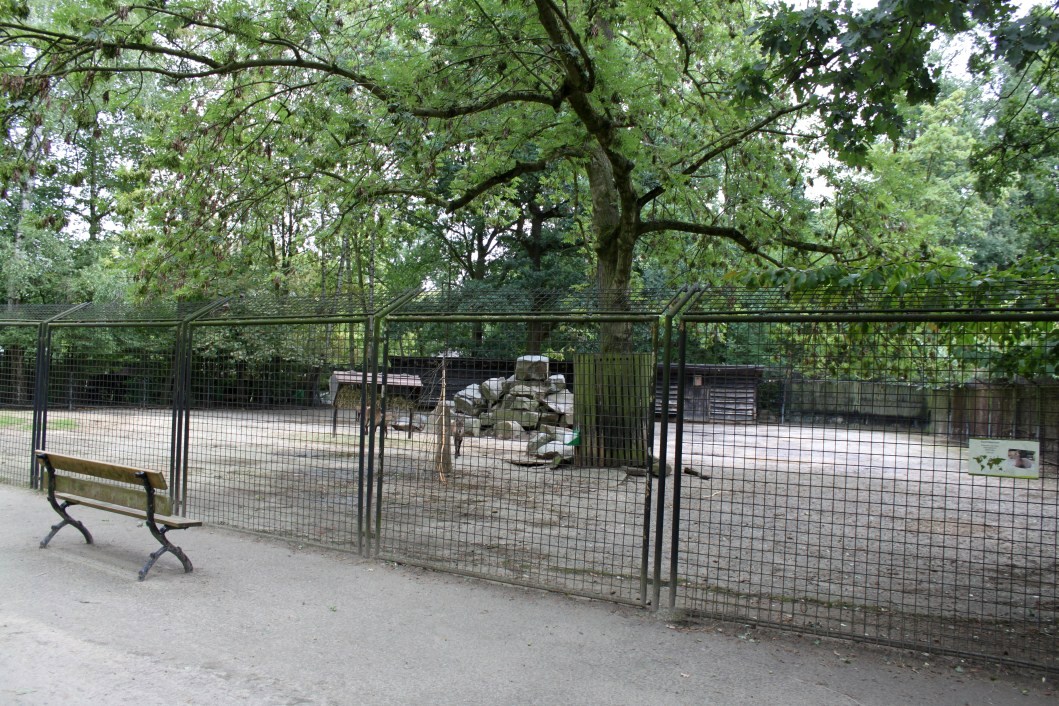 Planckendael - Ibex exhibit