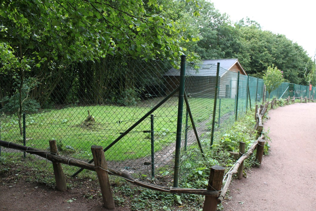 Planckendael - Oceania (Cassowary)